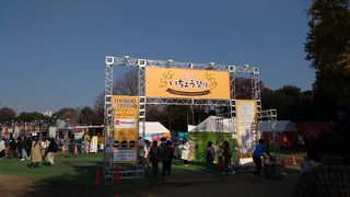 平日にいきました