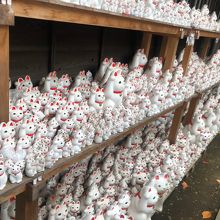 びっくりするほど沢山の招福猫です