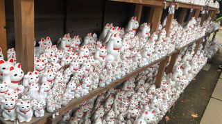 招福猫、招福猫、招福猫、招福猫、招福猫、招福猫、招福猫、招福猫、・・・・・・・