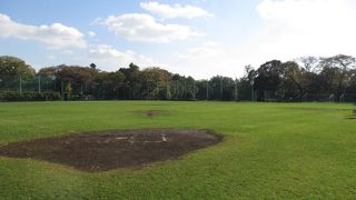 多目的広場の芝生が緑々としていました。