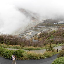 迫力あります。