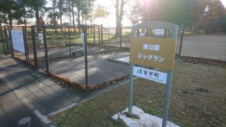 昔は鹿がいたような…