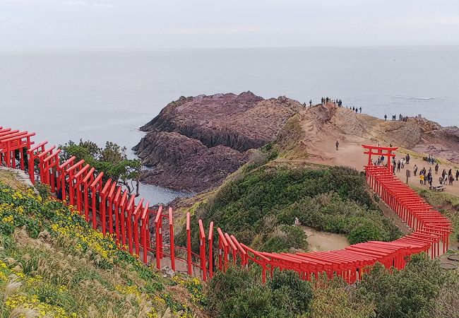 龍宮の潮吹 クチコミ アクセス 営業時間 長門市 長門湯本温泉 フォートラベル