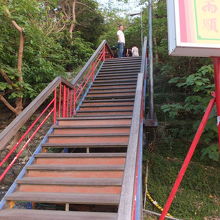 この階段を上ります