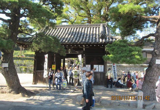 知多四国第８０番札所のお寺です。