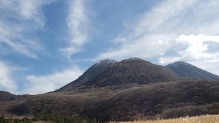 ドライブに最高