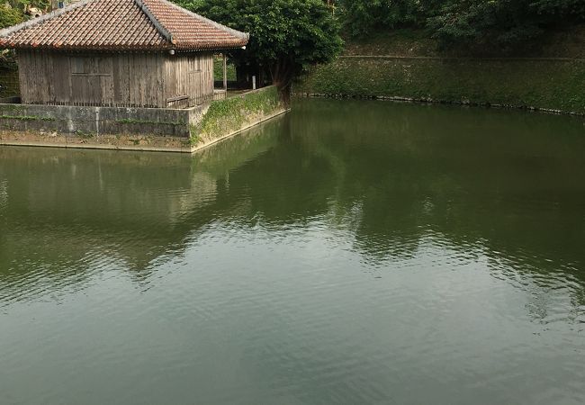 円鑑池 クチコミ アクセス 営業時間 那覇 フォートラベル