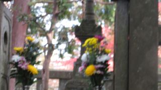 ハイキングコースの途中に