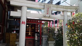 江東寺、本堂と並んでいます