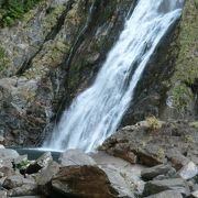 屋久島の滝は大川の滝