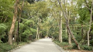 下鴨神社参道両脇にある森