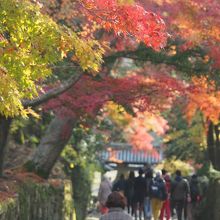 人は少な目 でも狭いから写真が撮れない