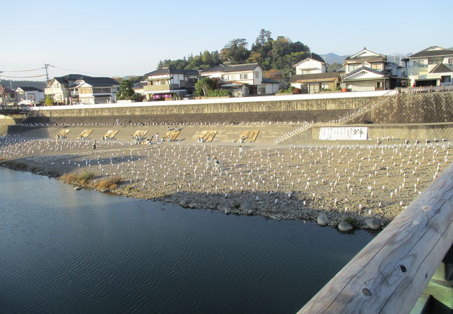 花月川の河原には千年あかりの竹筒が数え切れないほど並べられていました。夕方再度訪れると千年あかりが見事に灯っていました。