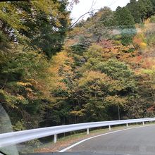 途中のルートは紅葉や新緑が美しくなります。