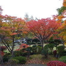 園内の紅葉