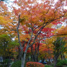 園内の紅葉