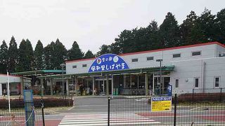 焼きたてパンが美味しかった。