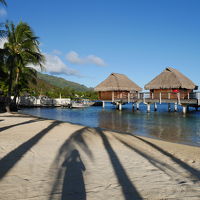 南国バンザイ！