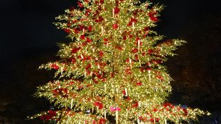 クリスマスツリー