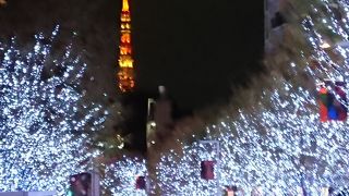 青と白のライトアップ