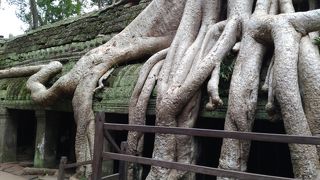 かなり混雑する