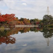 色づく日本庭園