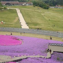 向こう側の建物にレストランやバーベキューハウスがある