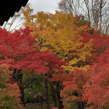 通天橋から一枚
