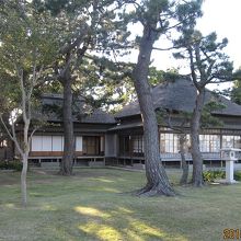 庭から見た全体