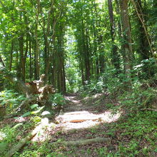 黄蝶翠谷の風景