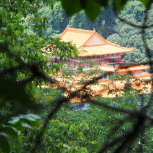 黄蝶翠谷の風景