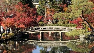 もみじの永観堂