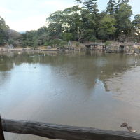 鷺や鴨の姿が眺められます