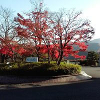 玄関前のロータリー。