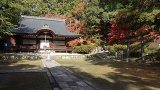 紅葉が  西行に似たり 弘川寺