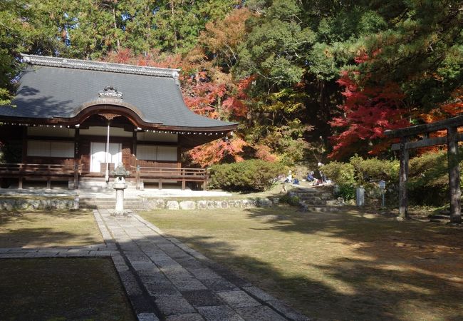 紅葉が  西行に似たり 弘川寺