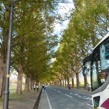 昔、このような映画のシーンが・・・・