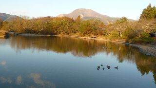 水面の逆さ伊吹山が紅葉に映える