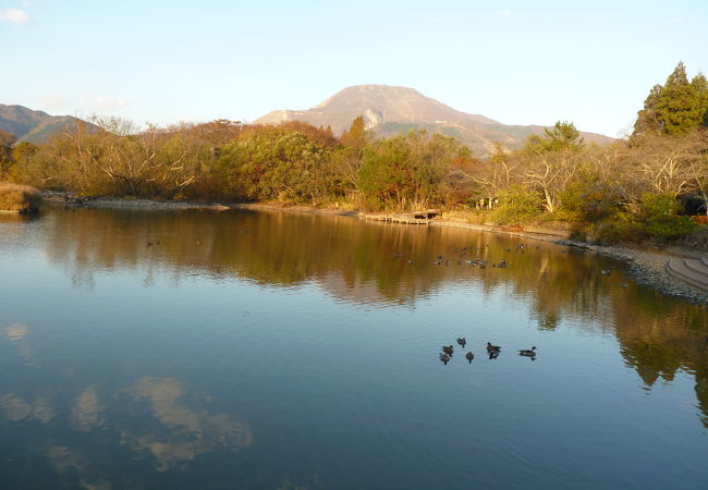 水面の逆さ伊吹山が紅葉に映える