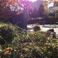 大横川親水公園