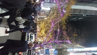 春はさくら、冬はイルミネーション