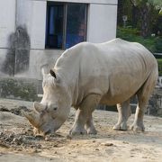 地下鉄動物園駅からすぐ