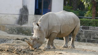 地下鉄動物園駅からすぐ
