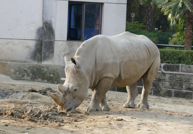 地下鉄動物園駅からすぐ