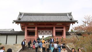 周囲を見渡せる