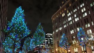 幻想的なイルミネーション