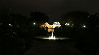 夜は濃厚な薔薇の香り