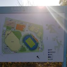 逆光ですすいません