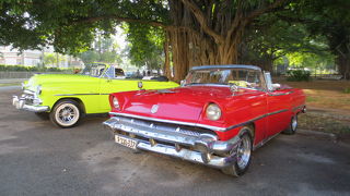 キューバの一つのイメージとして乗車体験したい