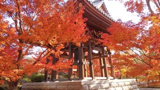 静かな空間で紅葉を堪能し、長谷川等伯一門の国宝障壁画を独り占めできます！